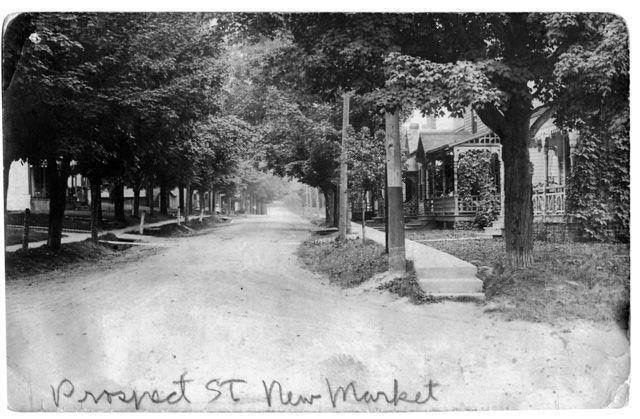 Historic photograph looking north along a tree-lined Prospect Street with houses and ornamented verandas