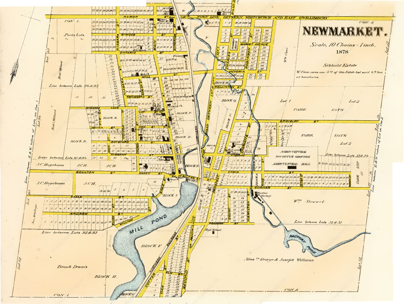 Detail from the 1878 map of Newmarket
